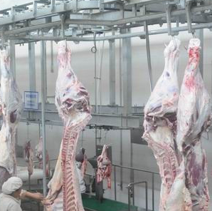 安徽麻豆国产AV超爽剧情系列冷凍庫的工作原理。