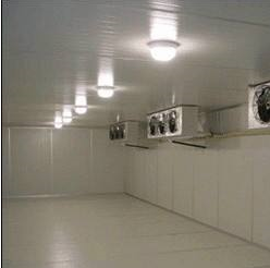 如何保養好冷凍庫？