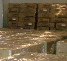 麻豆视频在线观看設備1