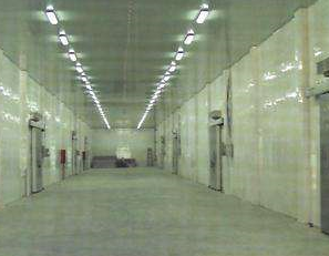 讓麻豆视频在线观看廠家告訴你，冷凍庫和氣調庫的區別？