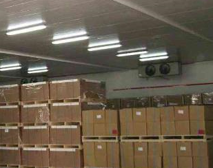 麻豆视频在线观看廠家讓你知道氣調庫的優越性。