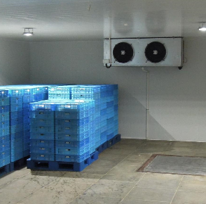 麻豆视频在线观看的設備有哪些？