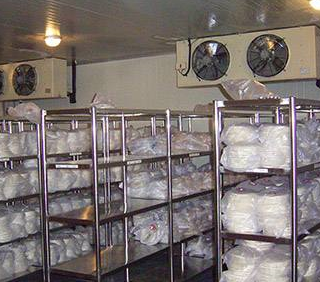 麻豆视频在线观看設備圖片