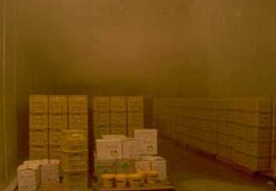 麻豆视频在线观看設備圖片2