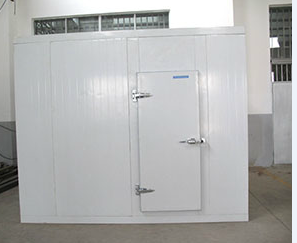 国产麻豆免费观看