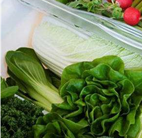 麻豆视频在线观看安裝