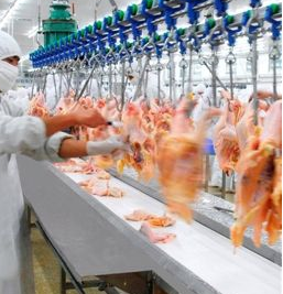 麻豆视频在线观看廠家圖片2