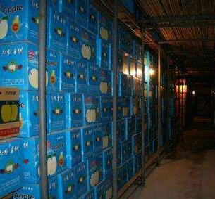 麻豆视频在线观看廠家的氣調庫圖片