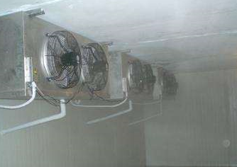 麻豆视频在线观看設備101