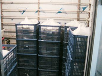 麻豆视频在线观看安裝