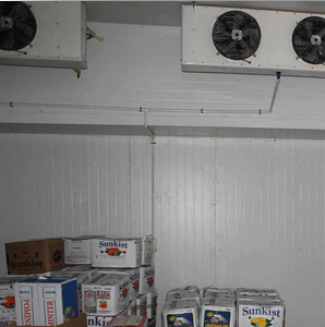 麻豆视频在线观看