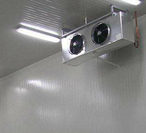 麻豆视频在线观看安裝