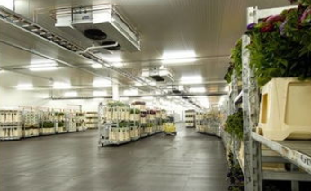 麻豆视频在线观看設備廠家