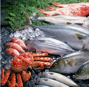 冷庫冷藏、凍結、冷卻間的溫度參考