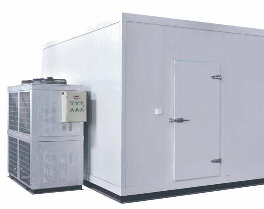 麻豆视频在线观看安裝