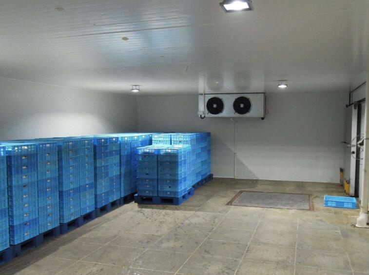 麻豆视频在线观看安裝