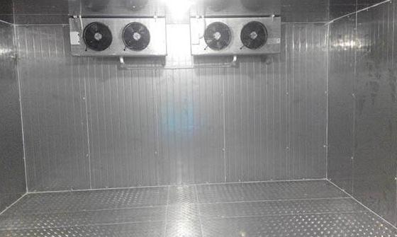 麻豆视频在线观看安裝