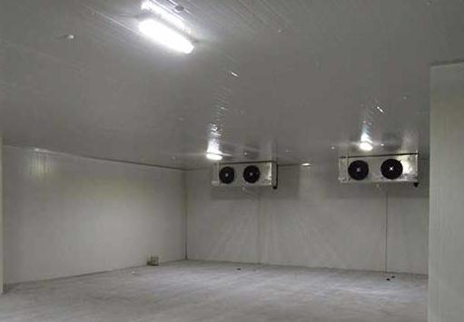 麻豆视频在线观看維修