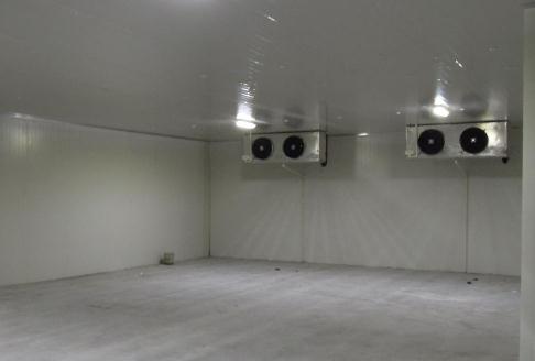 麻豆视频在线观看安裝