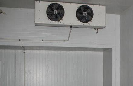 麻豆视频在线观看維修