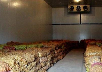 麻豆视频在线观看安裝