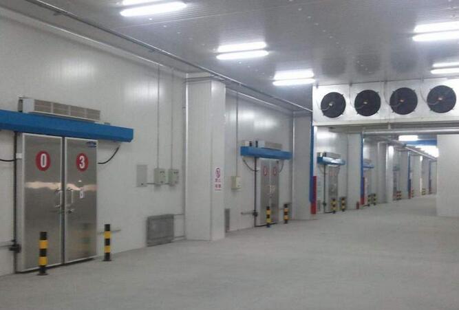 水果冷庫保鮮效果如何？小企業安裝麻豆视频在线观看大概要多少費用？