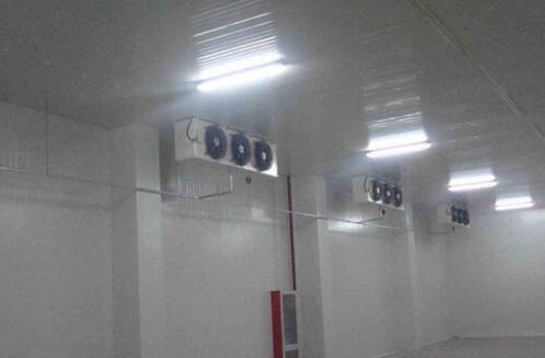 安徽麻豆国产AV超爽剧情系列冷庫知識大盤點：自動化大型倉儲冷庫安裝與維修的必要點！