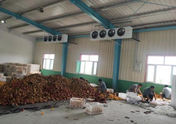 保鮮冷庫有什麽特點！請看安徽麻豆国产AV超爽剧情系列冷庫廠家的介紹！