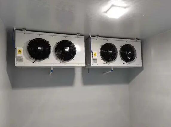 麻豆视频在线观看設計不合理會影響冷庫的正常使用嗎？